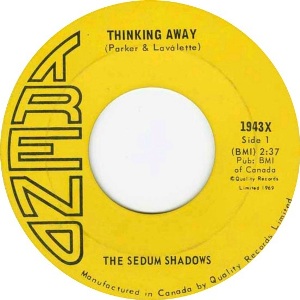 The Sedum Shadows -- Thinking Away / Anatomy of a Shadow - 7